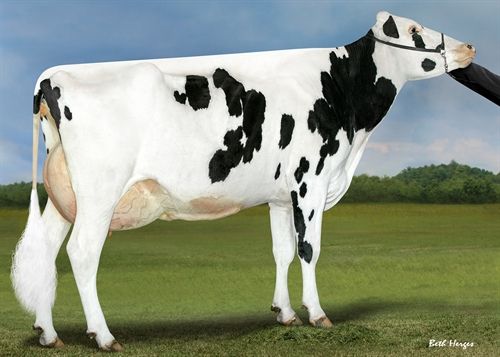 Progenesis Duke Melee – 3. matka